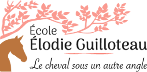 École Élodie Guilloteau - Le cheval sous un autre angle.