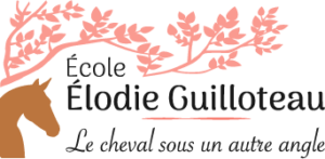 École Élodie Guilloteau - Le cheval sous un autre angle